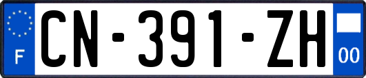 CN-391-ZH