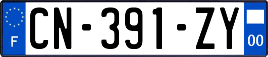 CN-391-ZY
