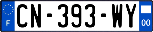 CN-393-WY