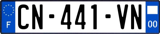 CN-441-VN