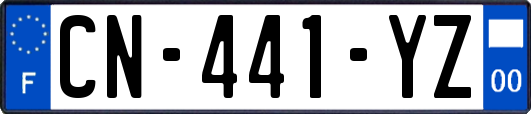 CN-441-YZ