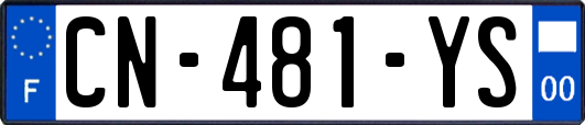 CN-481-YS