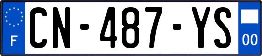 CN-487-YS