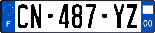 CN-487-YZ
