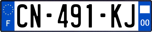 CN-491-KJ