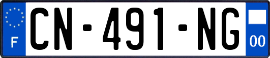 CN-491-NG