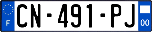 CN-491-PJ