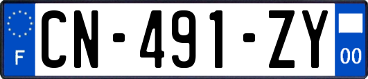 CN-491-ZY