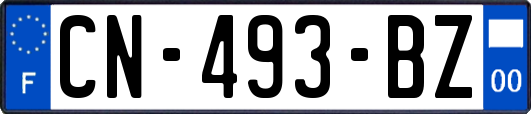 CN-493-BZ