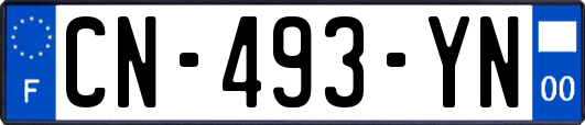 CN-493-YN