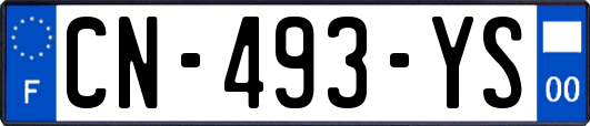 CN-493-YS