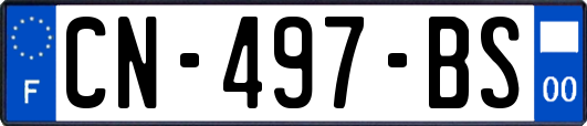 CN-497-BS