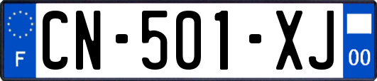 CN-501-XJ