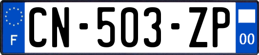 CN-503-ZP