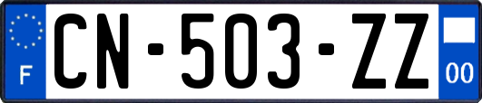 CN-503-ZZ