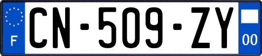 CN-509-ZY