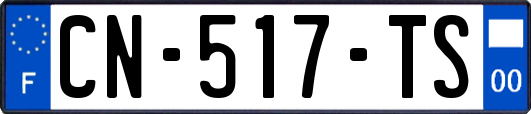 CN-517-TS