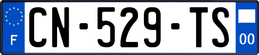 CN-529-TS