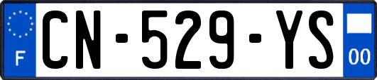 CN-529-YS