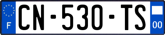 CN-530-TS