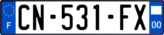 CN-531-FX