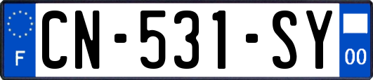 CN-531-SY