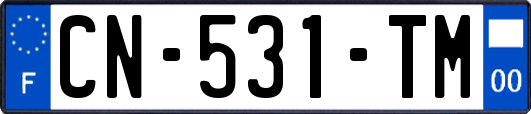 CN-531-TM