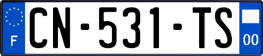 CN-531-TS