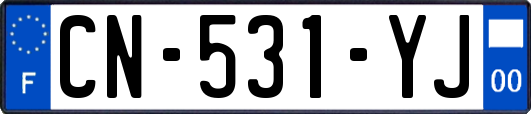 CN-531-YJ
