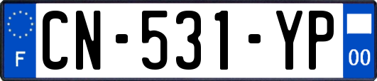 CN-531-YP