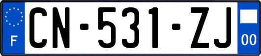 CN-531-ZJ