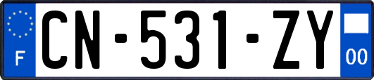 CN-531-ZY