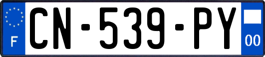 CN-539-PY