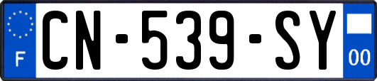 CN-539-SY