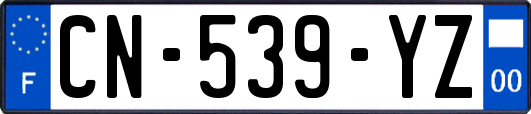 CN-539-YZ