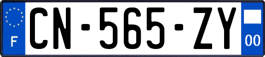 CN-565-ZY