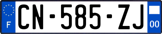 CN-585-ZJ