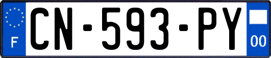 CN-593-PY