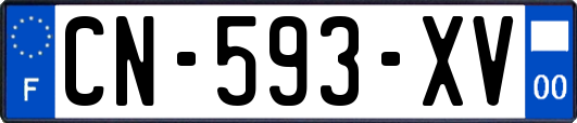 CN-593-XV