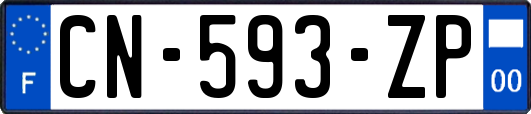 CN-593-ZP