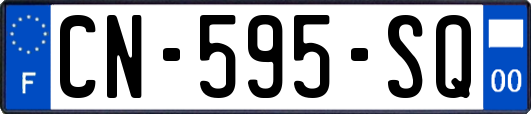 CN-595-SQ