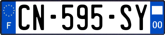 CN-595-SY