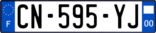 CN-595-YJ
