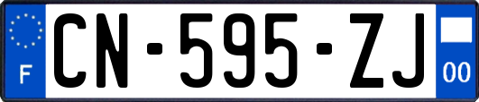 CN-595-ZJ