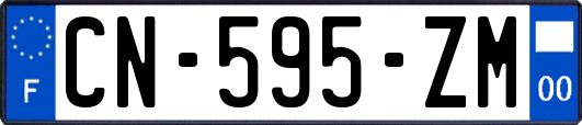 CN-595-ZM