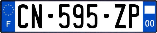 CN-595-ZP