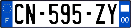 CN-595-ZY