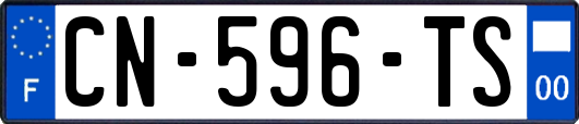 CN-596-TS