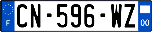 CN-596-WZ