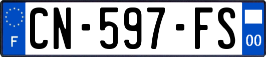 CN-597-FS